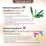 Oatsome-Fitt Mixed Oat Milk With Isolated Soy Protein 450g