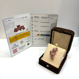 18KRG/YG Pink Sapphire Brooch