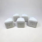 Boston Soundware XS Speaker-5pcs