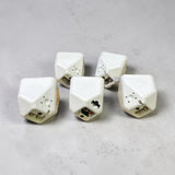 Boston Soundware XS Speaker-5pcs