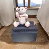 Burberry Teddy Bear