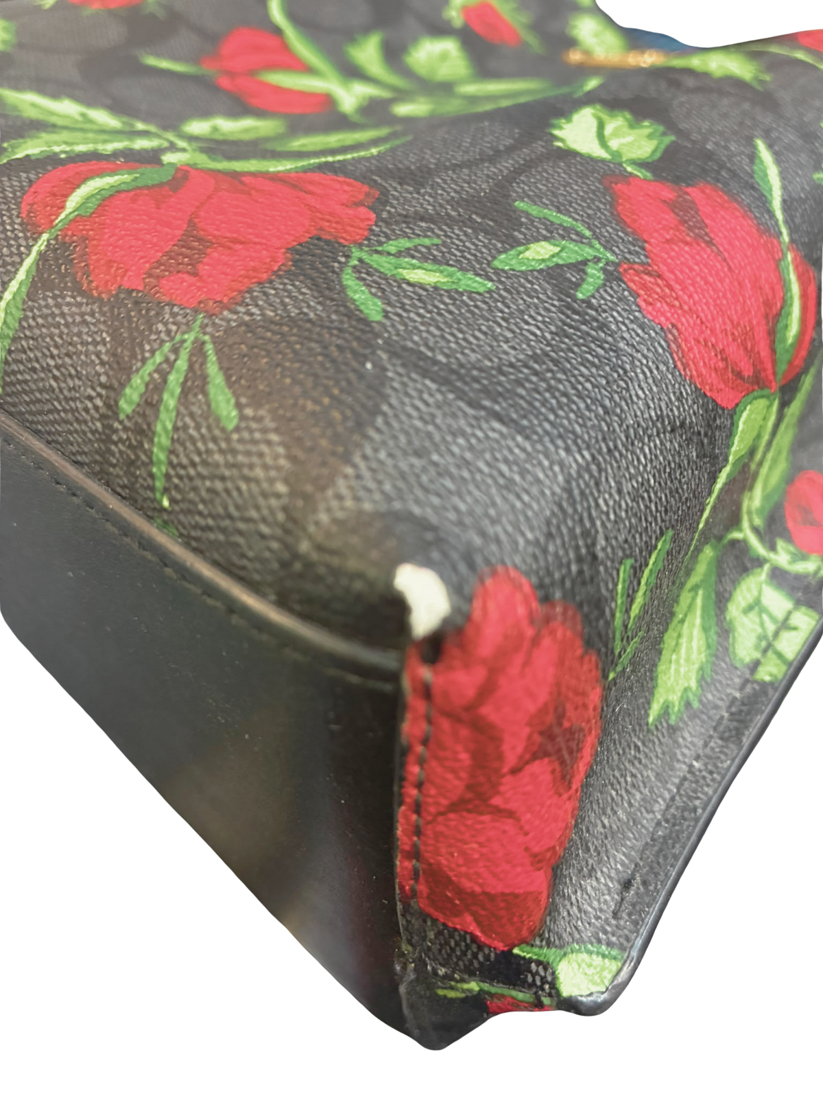 Coach Mollie Bucket Bag 22 Signature Canvas Fairytale Rose Print