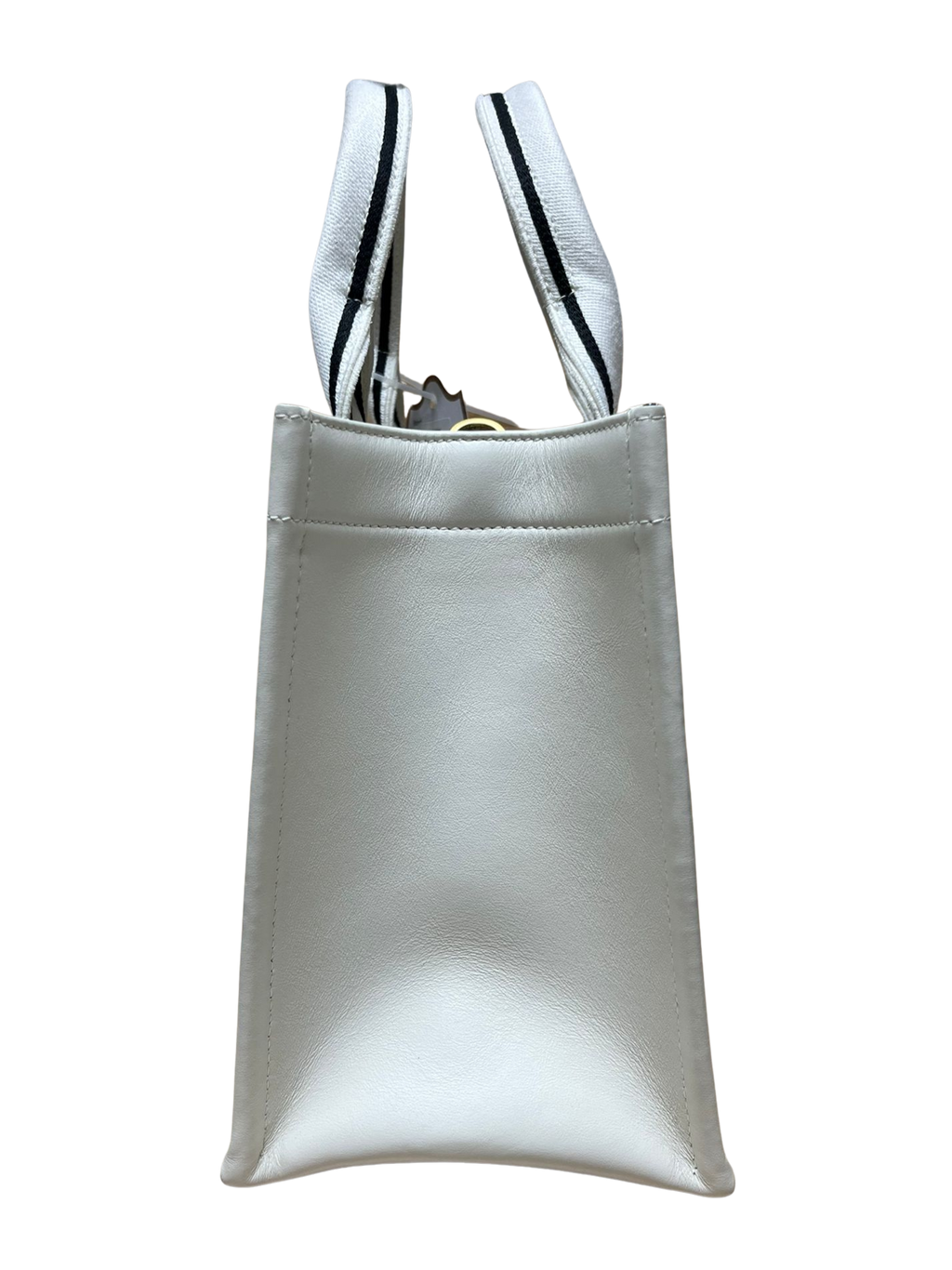 Christian Dior Dioramour Book Tote Bag Small M1325CZBX