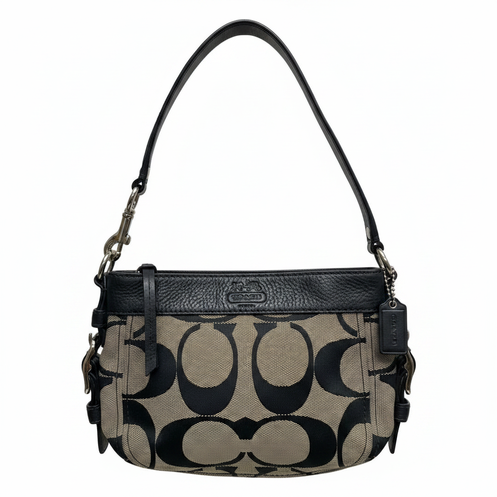 Coach Zoe Hobo Shoulder Bag