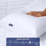 Casper Sleep Pillow 6Pack for Sleeping, White, Standard