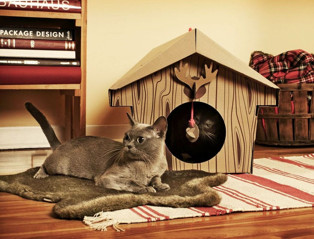 Cat Play House : Irresistible cardboard toy houses for cats Main image
