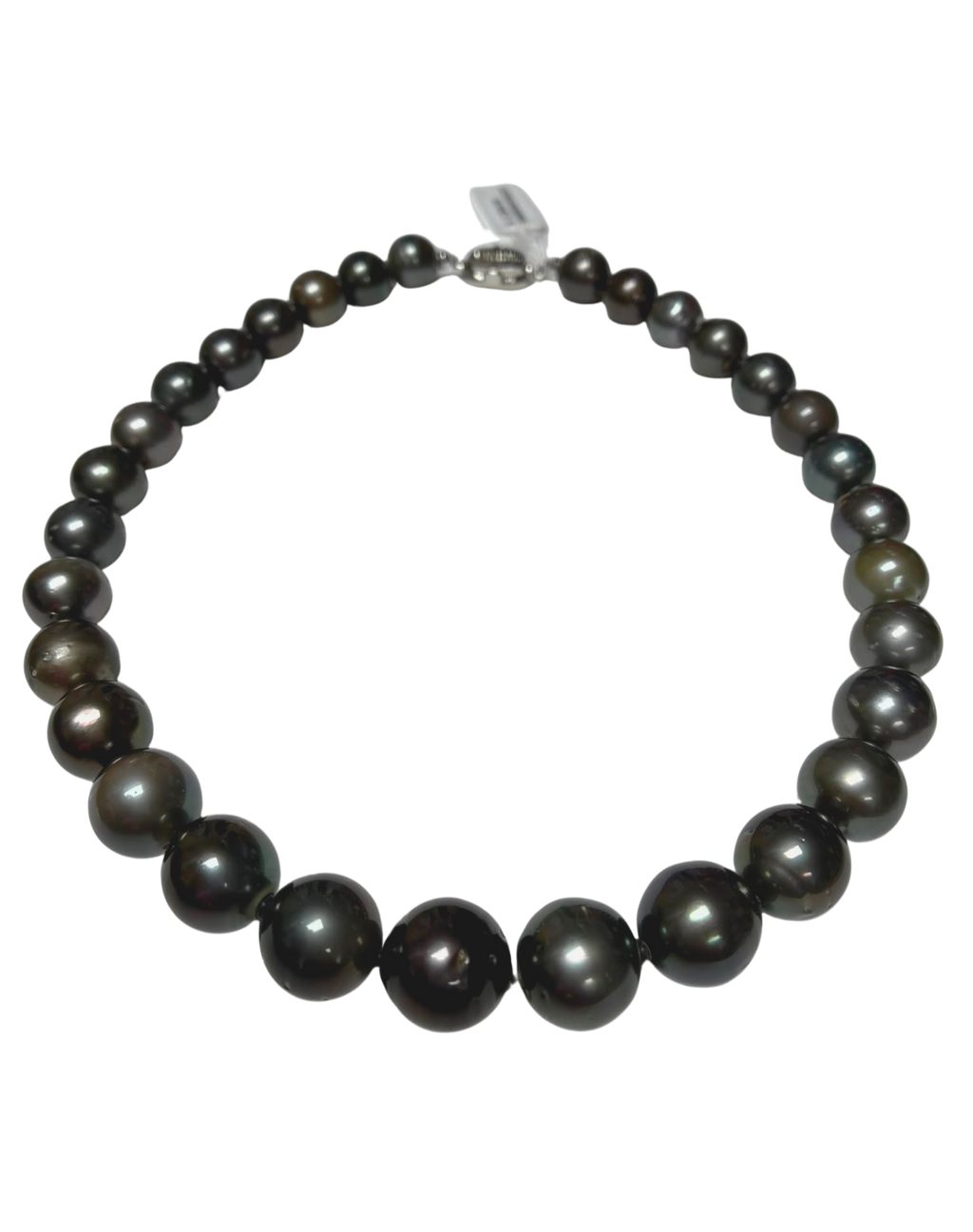 Tahitian Cultured Black South Sea Pearl Necklace 11.4 To 14.4MM
