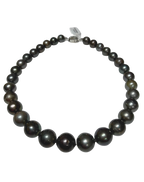 Tahitian Cultured Black South Sea Pearl Necklace 11.4 To 14.4MM