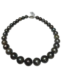 Tahitian Cultured Black South Sea Pearl Necklace 11.4 To 14.4MM