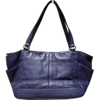 Coach F23284 Park Leather Carrie Tote