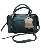 DKNY Leather Satchel Green