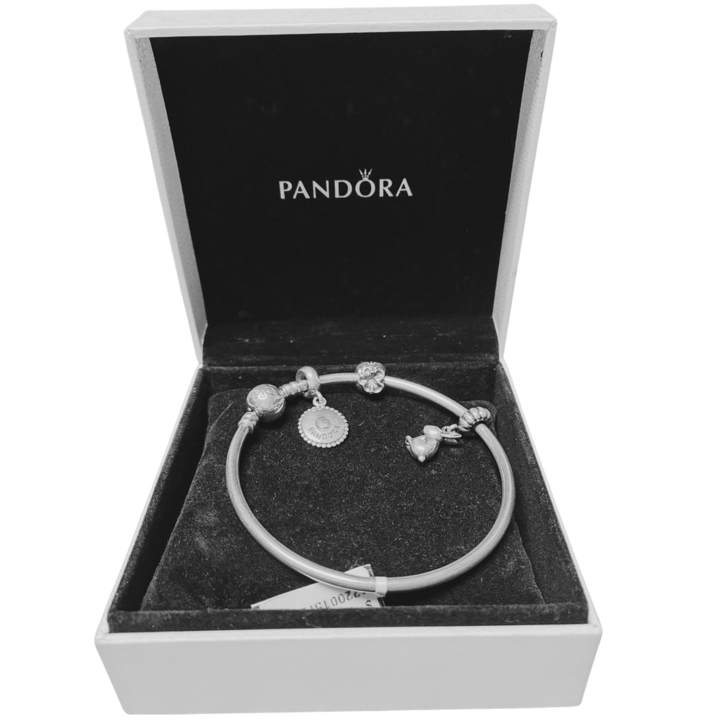 Pandora Moments Bangle Bracelet Sterling Silver With 3 Charms