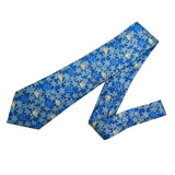 Hermes Butterfly Blue Tie