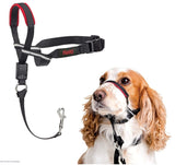 HALTI Optifit Headcollar Size Medium, Bestselling Dog Head Harness to Stop Pulling on the Lead, Easy to Use, Adjustable & Reflective Head Collar for Dogs, Professional Anti-Pull Training Aid