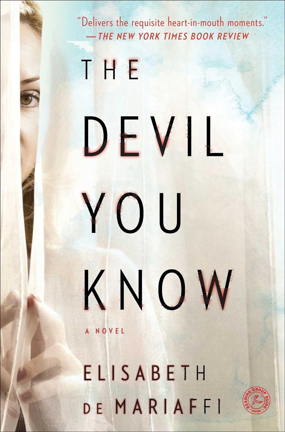 The Devil You Know: A Novel Paperback Main image