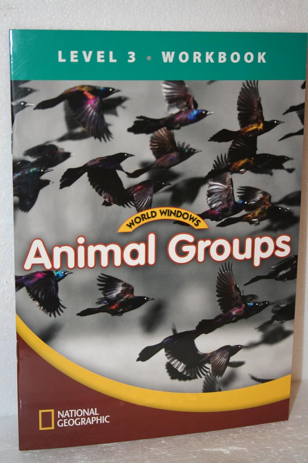 World Windows 3 (Science): Animal Groups Workbook 1st Edition Paperback Main image