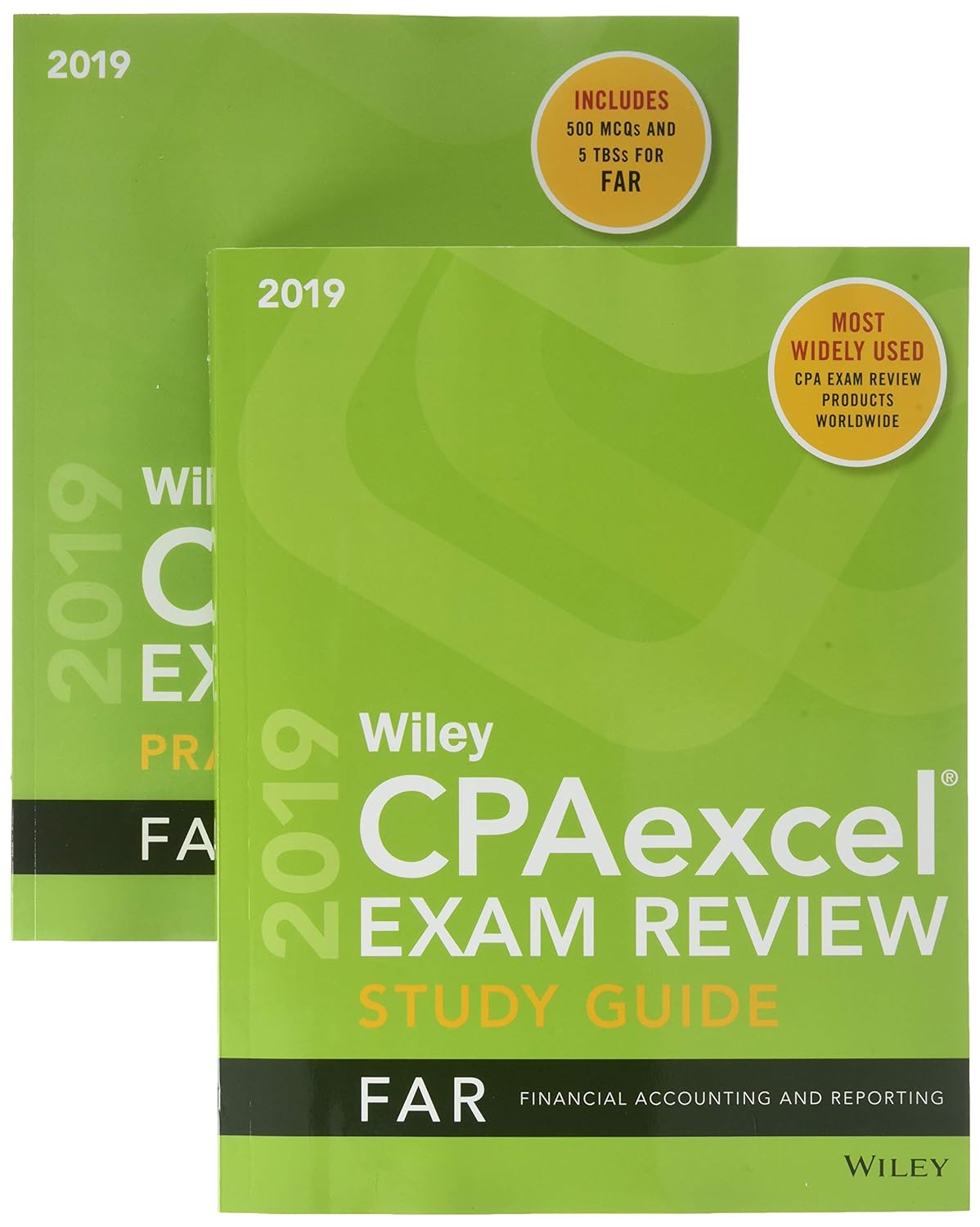 Wiley CPAexcel Exam Review 2019 Study Guide + Question Pack: Financial Accounting And Reporting Paperback Main image
