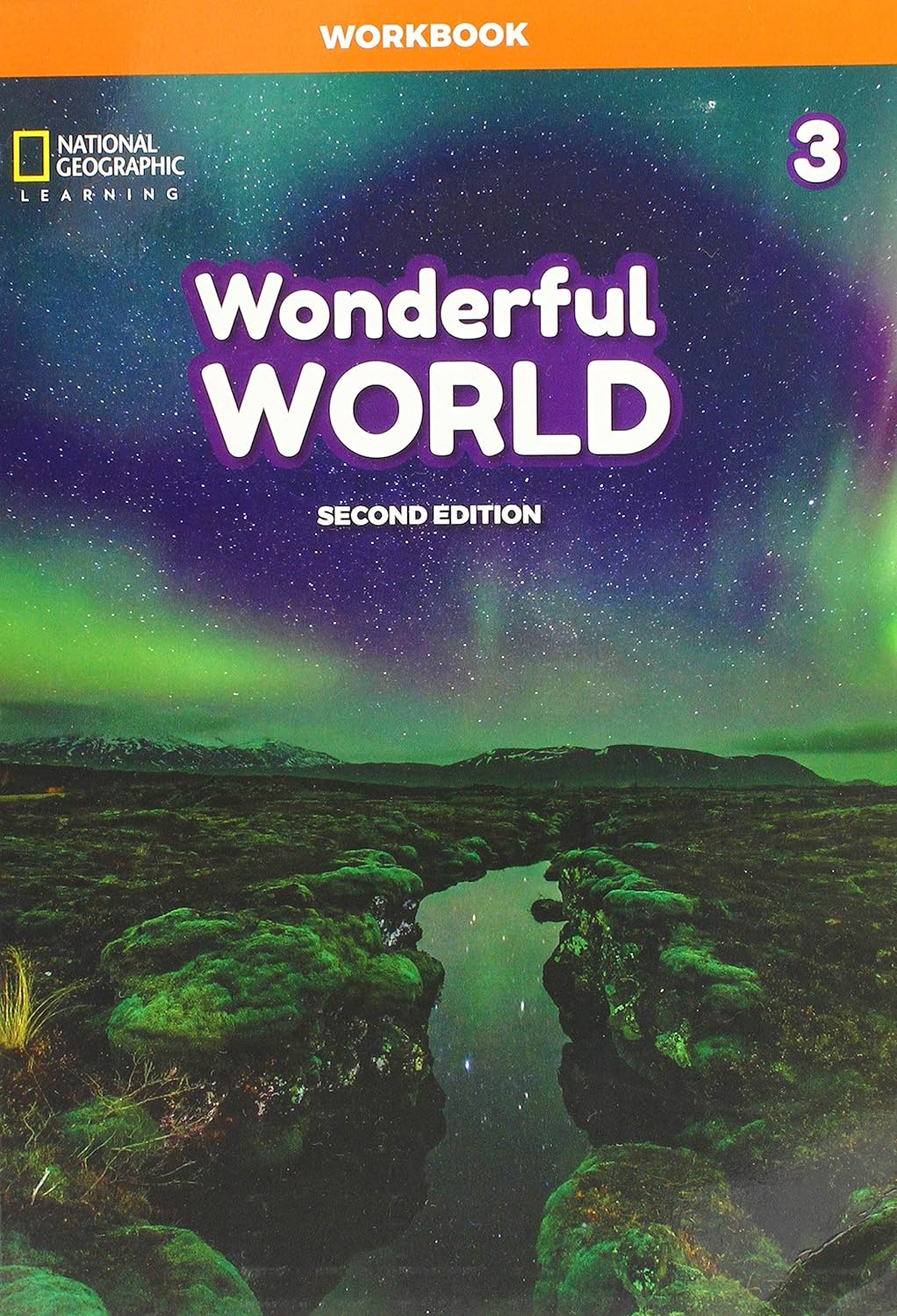 Wonderful World 3: Workbook