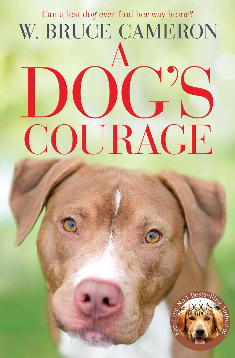 A Dog's Courage Paperback Main image