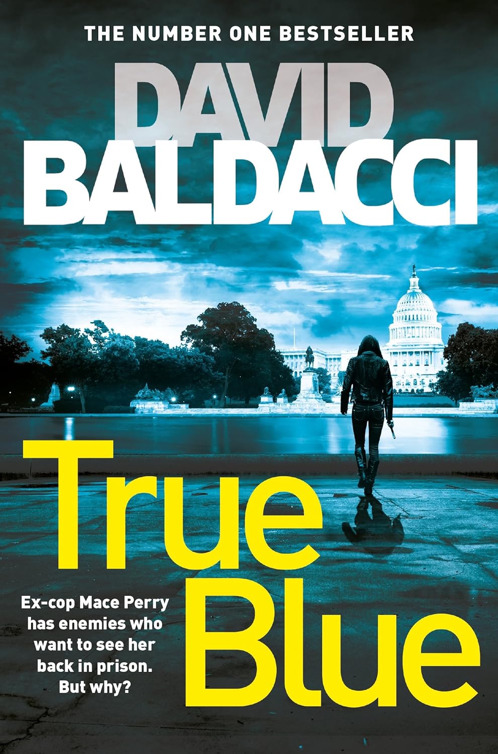 True Blue Paperback Main image