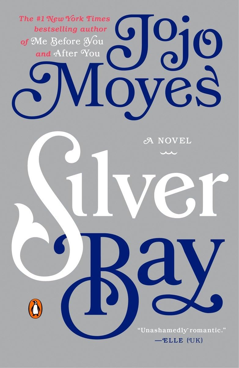 Silver Bay: A Novel Paperback Main image