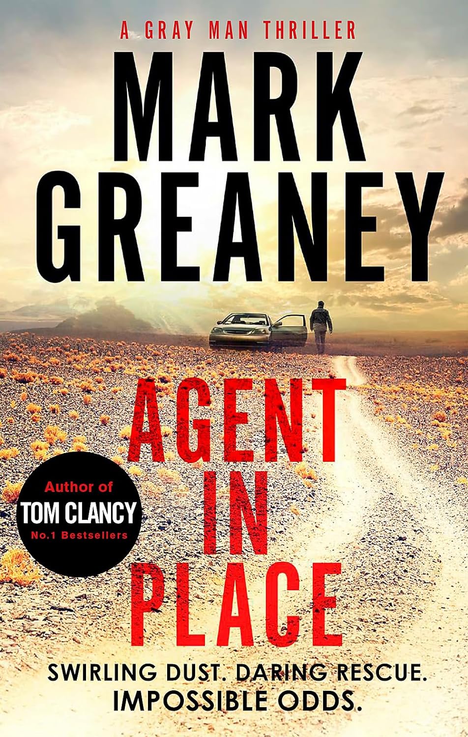Agent in Place Paperback Main image