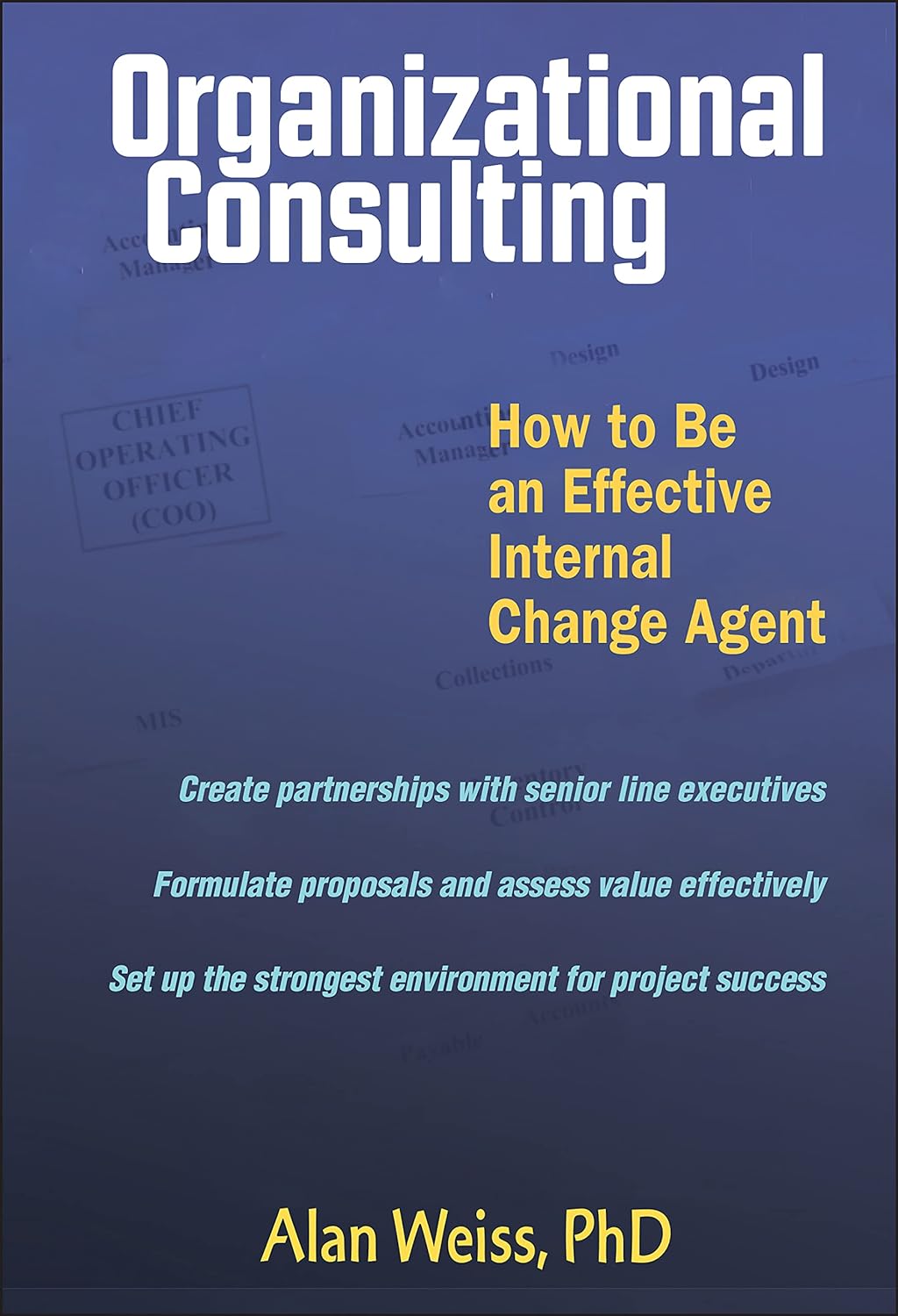 Organizational Consulting: How To Be An Effective Internal Change Agent Hardcover Main image
