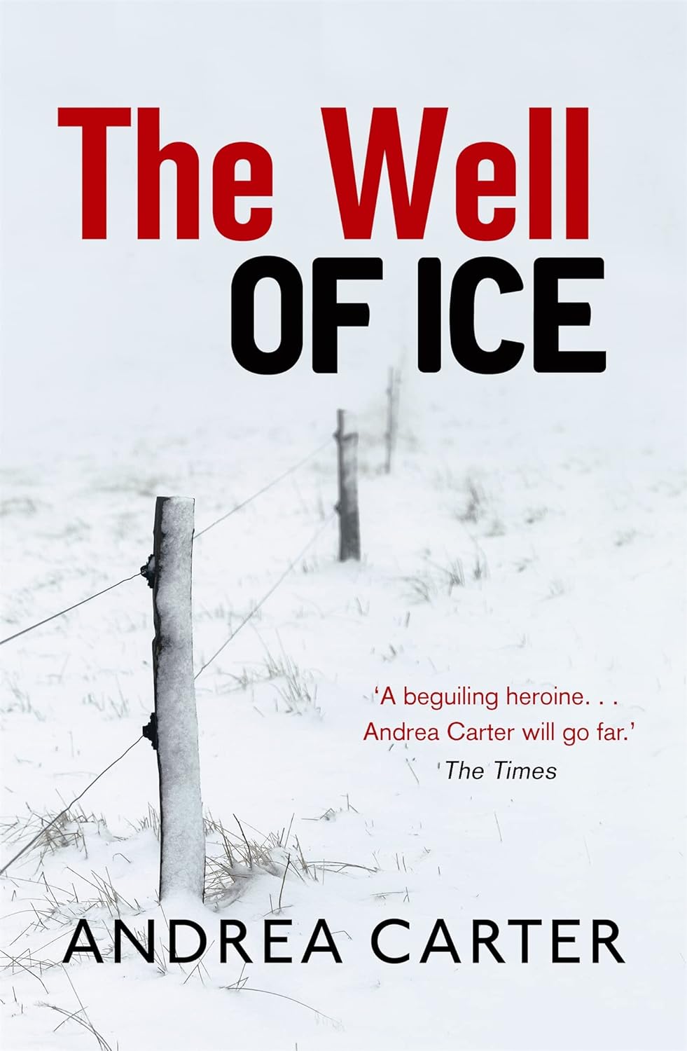 Well of Ice Paperback Main image