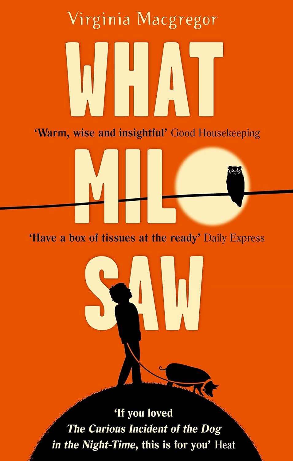 What Milo Saw: He Sees The world In A Very Special Way . . . Paperback Main image