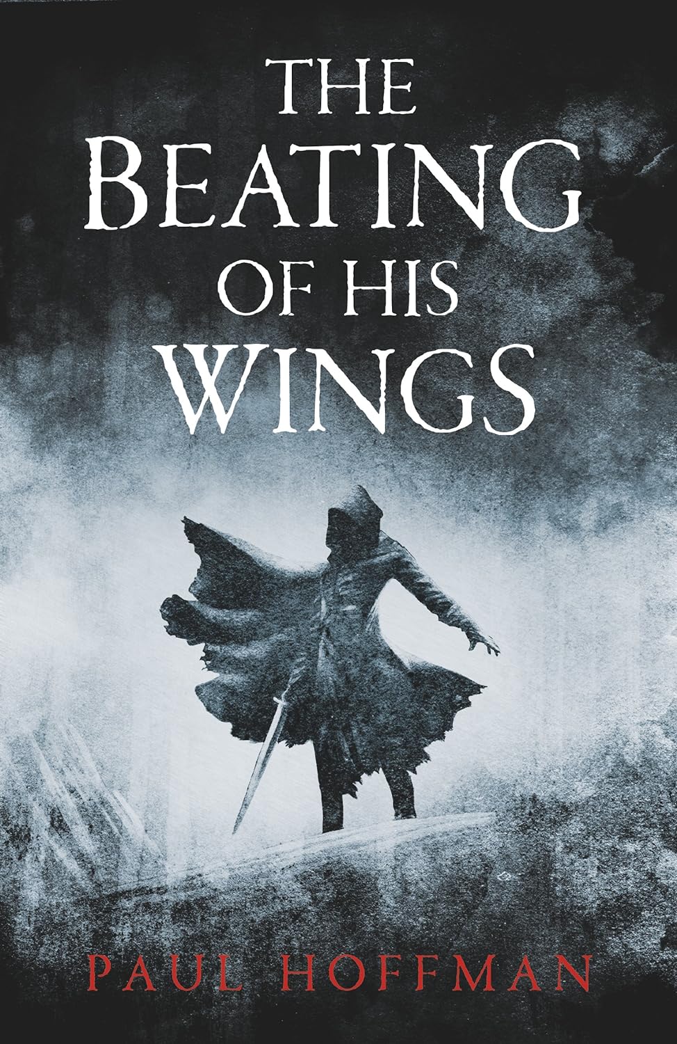 The Beating of His Wings Paperback Main image