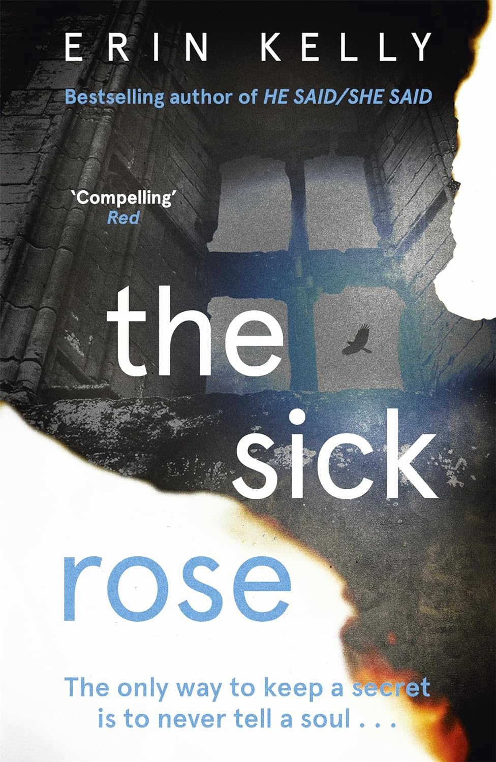The Sick Rose Paperback Main image