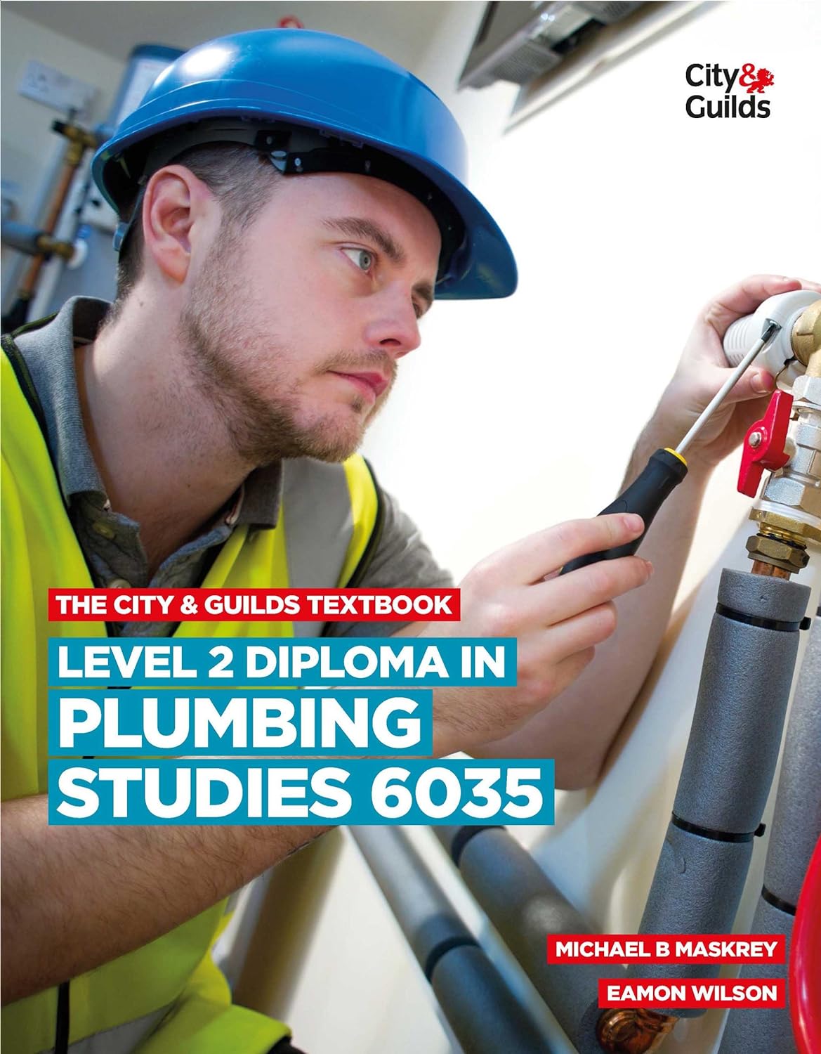 The City & Guilds Textbook: Level 2 Diploma In Plumbing Studies 6035 Paperback