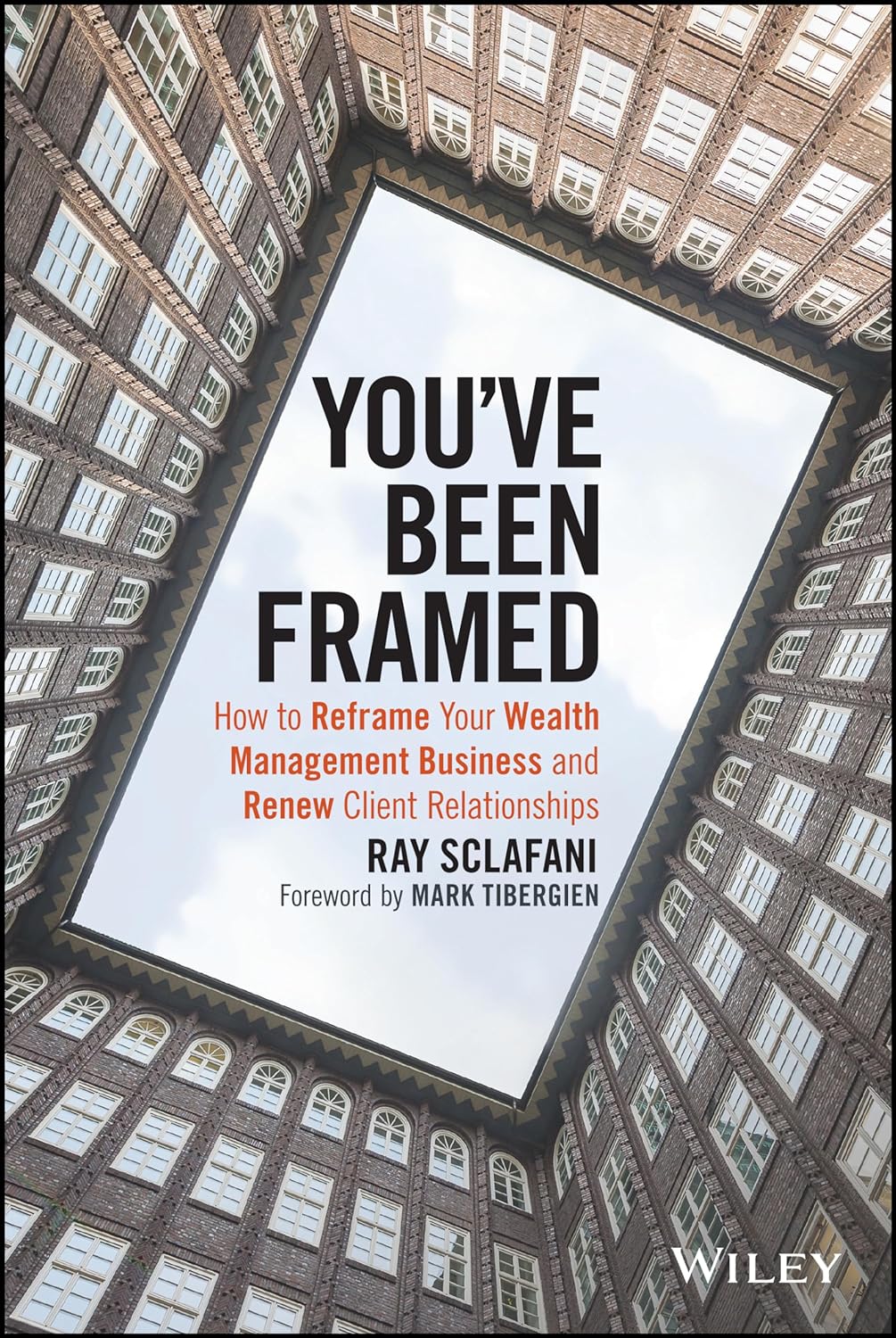 You've Been Framed: How To Reframe Your Wealth Management Business And Renew Client Relationships Hardcover Main image