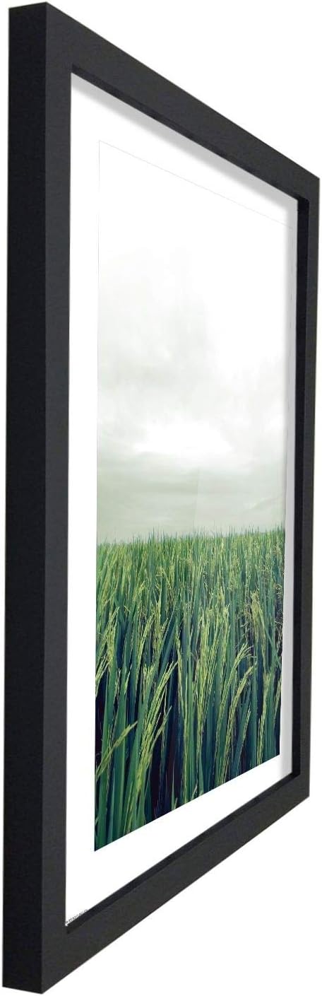 Poster Hub Feng Shui Wood Rice Field Growth Expansion And Vitality Art Decor Secondary image