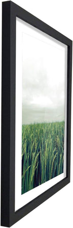 Poster Hub Feng Shui Wood Rice Field Growth Expansion And Vitality Art Decor