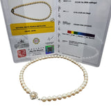 Natural White Pearl Necklace (8.1 - 8.4mm) W/Silver Clasp, L43cm W/Cert