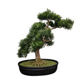 Nearly Natural 4106 16in. Cedar Bonsai Silk Plant