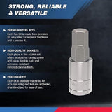 Neiko 10288A Allen Hex Bit Socket Set, 32 Piece SAE and Metric Allen Socket Set, Allen Head Hex Key Socket Set Made with S2 Steel