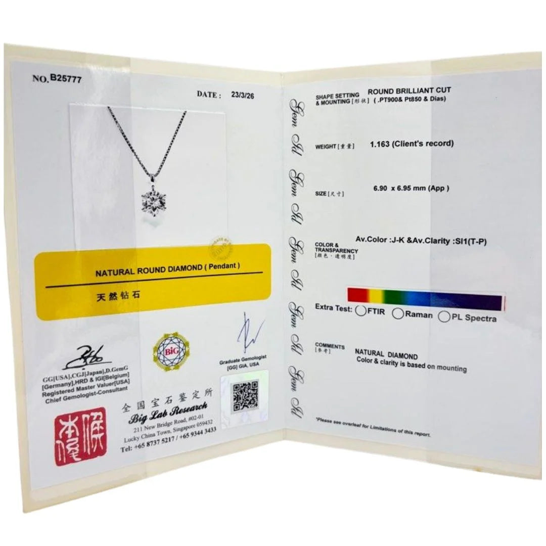 PT850 Natural Diamond Necklace
