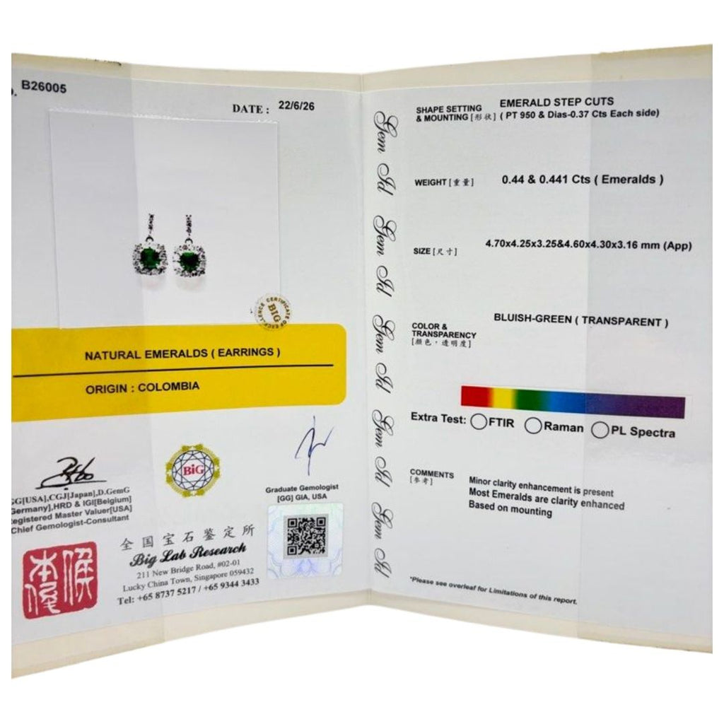 PT950 Natural Emerald (Colombia) & Diamond Earring