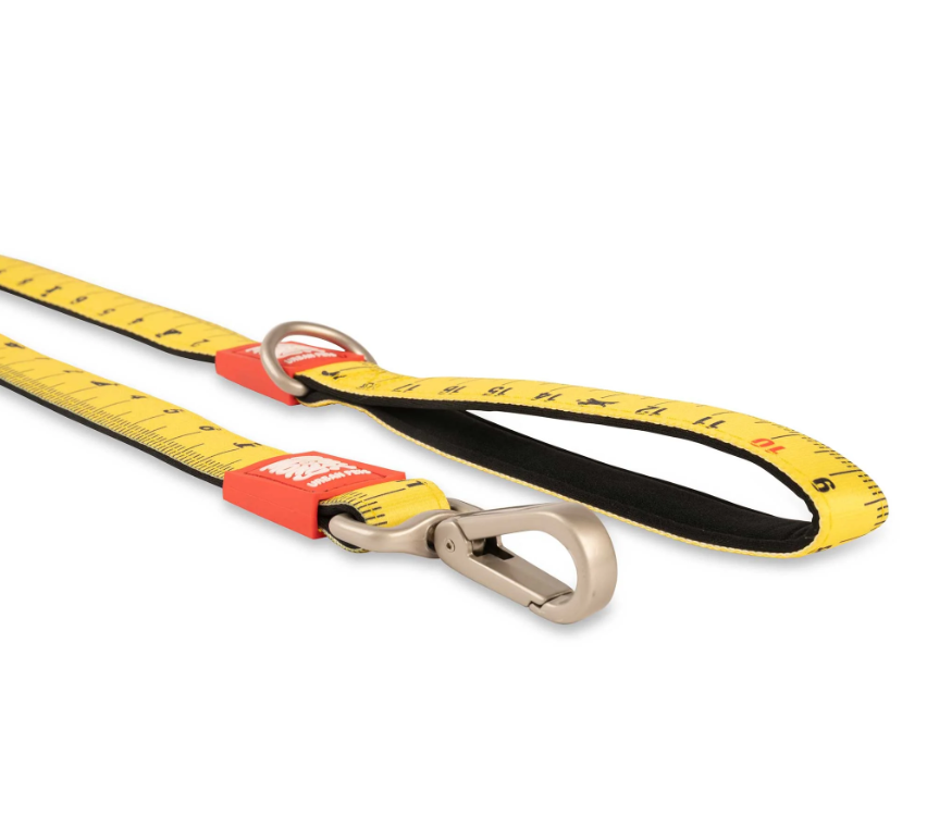 Max & Molly Ultra Comfortable Padded Neoprene Sport Dog Leash, Ruler Large Main image