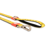 Max & Molly Ultra Comfortable Padded Neoprene Sport Dog Leash, Ruler Large