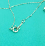 Tiffany & Co. Paloma Picasso Double Heart Diamond Bar Pendant in Sterling 925 Silver