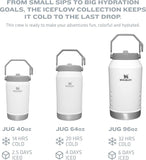 Stanley IceFlow™ Flip Straw Jug 64oz Alpine