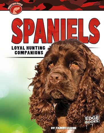 Spaniels: Loyal Hunting Companions Main image