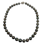 Tahiti Black South Pearl Necklace Silver Clasp