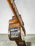 Takamine G Series EG340C Semi-Acoustic Guitar