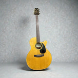 Takamine Guitar  G440C with bag