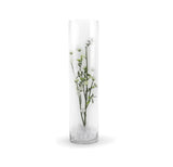 WGVI Quality Thick Weighted Tall Clear Cylinder Glass Vases, W4" x H16"