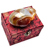 Agate Fengshui Ling Zhi with Toad As Like Ornament